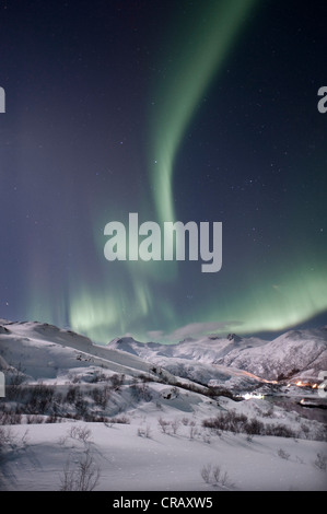 Nordlicht, Aurora Borealis, Austnesfjorden, Insel Austvågøya, Lofoten-Inseln, Nord-Norwegen, Norwegen, Europa Stockfoto