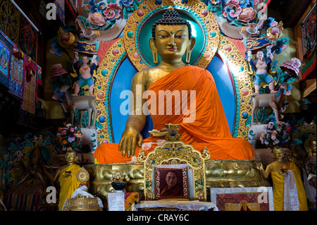 Acht Meter hohe Sakyamuni Buddha-Statue im Kloster Galden Namgyal Lhatse, das größte buddhistische Kloster in Indien, Tawang Stockfoto