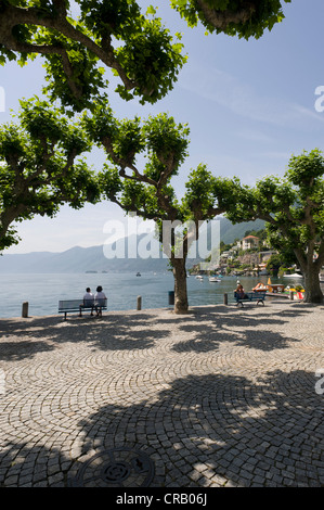 Promenade, Ascona, Lago Maggiore oder Lago Maggiore, Tessin, Schweiz, Europa Stockfoto