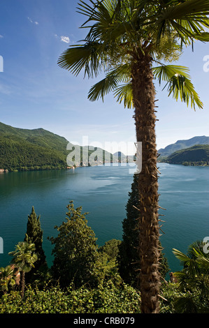 View across Lake Lugano, Lake Lago di Lugano, near Morcote, Ticino, Switzerland, Europe Stockfoto
