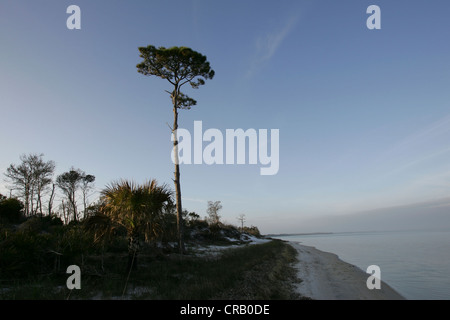 Sonnenuntergang vom Strand St. Joseph Peninsula State Park, Florida Stockfoto