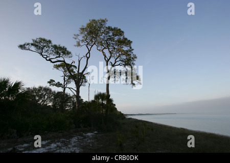 Sonnenuntergang vom Strand Weg St. Joseph Peninsula State Park, Florida Stockfoto