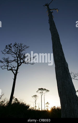 Sonnenuntergang vom Strand St. Joseph Peninsula State Park, Florida Stockfoto