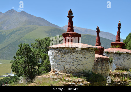 Tibetischen Buddhismus, jahrhundertealten Wacholderbäumen und Stupa, Chorten, in den Bergen von Reting Kloster, Mount Gangi Rarwa Stockfoto