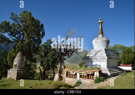 Tibetischen Buddhismus, jahrhundertealten Wacholderbäumen und eine Stupa oder Chorten in den Bergen von Reting Kloster, Mount Gangi Rarwa Stockfoto