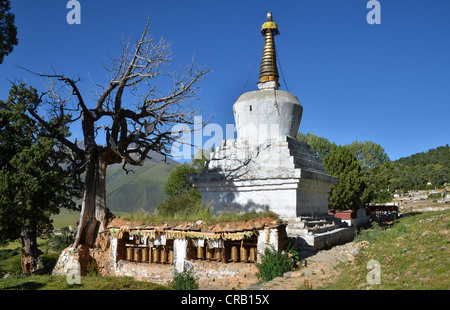 Tibetischen Buddhismus, jahrhundertealten Wacholderbäumen und eine Stupa oder Chorten in den Bergen von Reting Kloster, Mount Gangi Rarwa Stockfoto