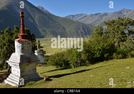 Tibetischen Buddhismus, jahrhundertealten Wacholderbäumen und eine Stupa oder Chorten in den Bergen von Reting Kloster, Mount Gangi Rarwa Stockfoto