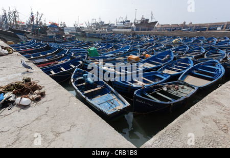 Angelboote/Fischerboote im Hafen von Essaouira, Marokko gefesselt. Stockfoto