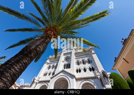 Sankt Nikolaus Kathedrale, Kathedrale Notre-Dame-Immaculée, neoromanische, einer Palme daneben, Monte Carlo Stockfoto