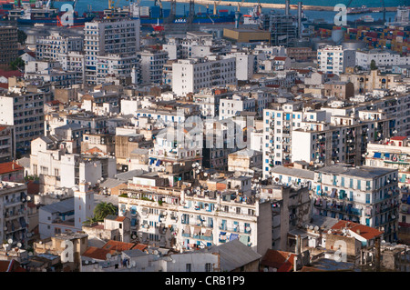 Blick über Algier, Algerien, Afrika Stockfoto