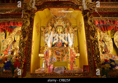 Tibetischen Buddhismus beleuchtet Buddha-Figuren, Reting Kloster, Mount Gangi Rarwa, Himalaya, Lhundrup County, Zentral-Tibet Stockfoto