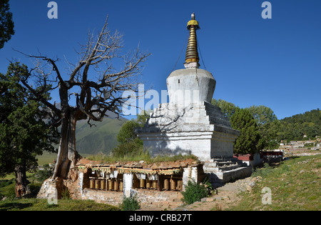 Tibetischen Buddhismus, jahrhundertealten Wacholderbäumen und Stupa, Chorten in den Bergen von Reting Kloster, Mount Gangi Rarwa Stockfoto