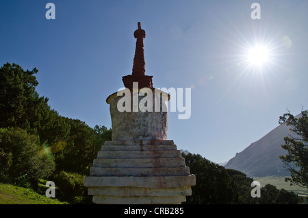 Tibetischen Buddhismus, jahrhundertealten Wacholderbäumen und Stupa, Chorten in den Bergen von Reting Kloster, Mount Gangi Rarwa Stockfoto