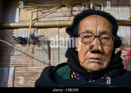 Alte Frau vom Stamm Apatani, bekannt für die Holzstücke in ihre Nase zu machen häßlich, Ziro, Arunachal Pradesh Stockfoto