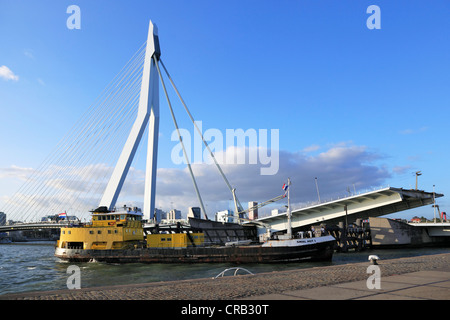 Schiff vor Erasmus-Brücke, eine Schrägseilbrücke Klappbrücke, Rotterdam, Holland, Niederlande, Europa Stockfoto