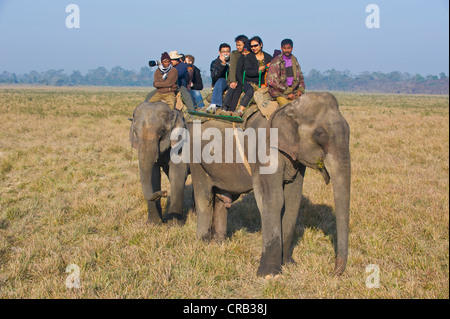 Touristen auf Elefanten in die UNESCO Welt Natural Heritage Site Kaziranga Nationalpark, Assam, Nordost-Indien, Indien, Asien Stockfoto