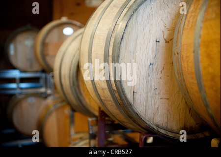 Gestapelte Holz Fässer mit Wein im Weinkeller Stockfoto