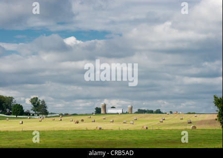 Blick auf Ackerland mit Kautionen von Heu, Silos und Scheune auf der grünen Wiese mit blauem Himmel Stockfoto