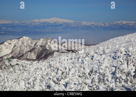 Weiche Rime und Mt. Gassan, Yamagata Tohoku Japan Stockfoto