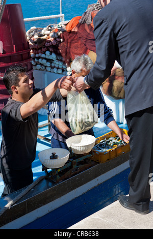 Fischer verkaufen frischen Fisch direkt von einem Boot, Makarska, Mitteldalmatien, Dalmatien, Adria, Kroatien, Europa Stockfoto