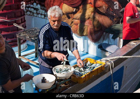 Fischer verkaufen frischen Fisch direkt von einem Boot, Makarska, Mitteldalmatien, Dalmatien, Adria, Kroatien, Europa Stockfoto