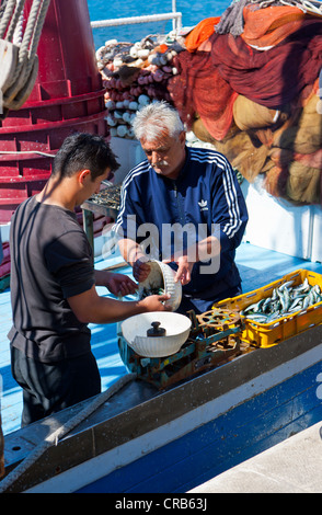 Fischer verkaufen frischen Fisch direkt von einem Boot, Makarska, Mitteldalmatien, Dalmatien, Adria, Kroatien, Europa Stockfoto