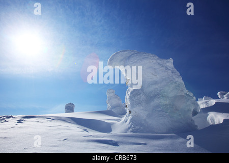 Schnee-Monster am Mount Zao, Yamagata Tohoku Japan Stockfoto