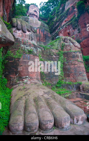 Größten Buddha in der Welt, Leshan, Sichuan, China, Asien Stockfoto