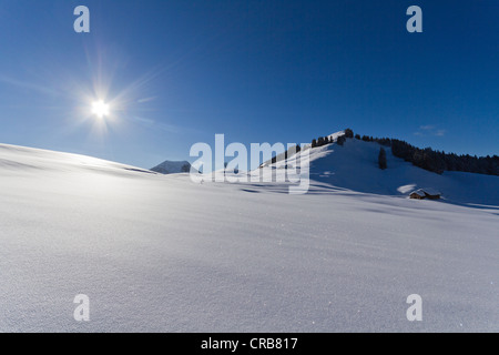 Alp Horn Berg, Kanton St. Gallen, Schweiz, Europa Stockfoto