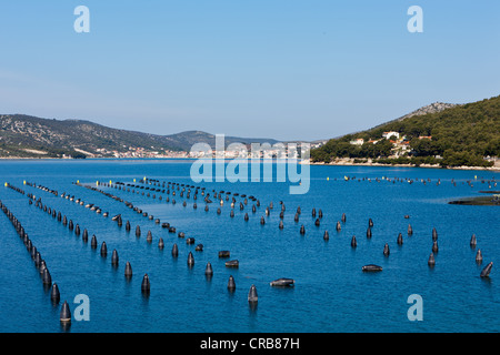 Fischzucht in der Region Trogir, Mitteldalmatien, Dalmatien, Adria-Küste, Kroatien, Europa, PublicGround Stockfoto