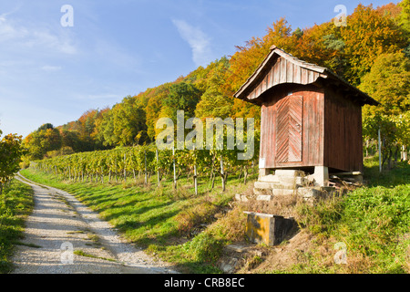 Hütte in den Weinbergen von Stein bin Rhein, Kanton Schaffhausen, Schweiz, Europa Stockfoto