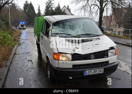 Während eines Gewitters ein verfallenden Baum stürzte auf einem vorbeifahrenden Auto und schwer beschädigt seine Vorderseite, Hedelfingen, Baden-Württemberg Stockfoto