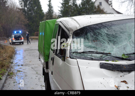 Während eines Gewitters ein verfallenden Baum stürzte auf einem vorbeifahrenden Auto und schwer beschädigt seine Vorderseite, Hedelfingen, Baden-Württemberg Stockfoto