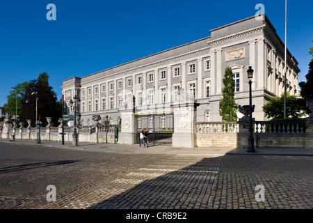 Palais des Académies, Hertogsstraat, Brüssel, Belgien Stockfoto