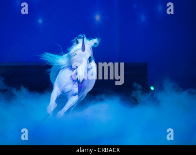 Als ein Einhorn, Magnifico, Pferdevorführung von André Heller, Weltpremiere am 08.02.2011, München, Bayern, Deutschland, Europa Stockfoto