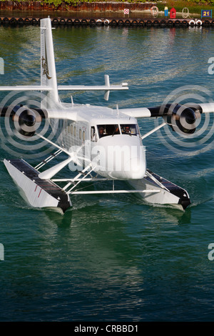 TMA Meer Flugzeug, Trans Maldivian Airways, Wasserflugzeug-Terminal des internationalen Flughafen Malé, Malediven, Indischer Ozean Stockfoto