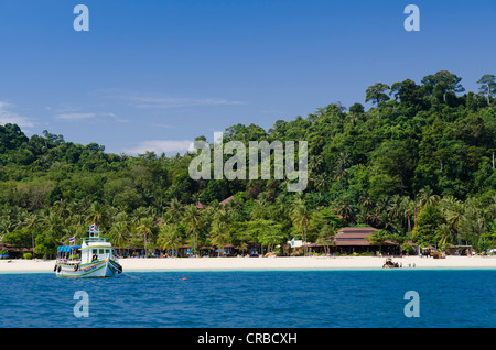 Palmen gesäumten Strand, Insel Koh Hai, Koh Ngai, Trang, Thailand, Asien Stockfoto