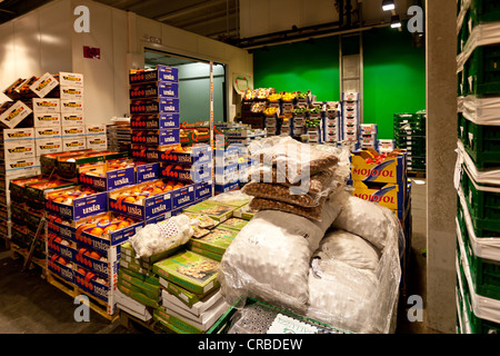 Großhandel für frisch produzieren, Obst und Gemüse, Frankfurt, Hessen, Deutschland, Europa Stockfoto