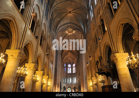 Innenraum, Decke, Kathedrale von Notre-Dame de Paris, Ile De La Cite, Paris, Frankreich, Europa Stockfoto