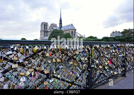 Schlösser der Liebe auf dem Geländer der Brücke Pont de L'Archeveche, hinter der Kathedrale Notre-Dame de Paris, Ile De La Cite Stockfoto