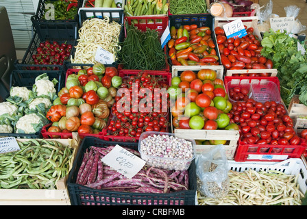 Gemüse auf dem Markt, Viareggio, Toskana, Italien, Europa Stockfoto