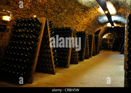 Sehr alte Flaschen Wein in einem alten Weinkeller, Loisium Welt von Wein, Langenlois, Kamptal, Wachau, Niederösterreich, Österreich Stockfoto