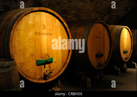 Alten Holzfässern in einem Weinkeller, Loisium Welt von Wein, Langenlois, Kamptal, Wachau, Niederösterreich, Österreich, Europa Stockfoto