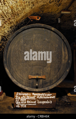 Alten Holzfässern in einem Weinkeller, Loisium Welt von Wein, Langenlois, Kamptal, Wachau, Niederösterreich, Österreich, Europa Stockfoto