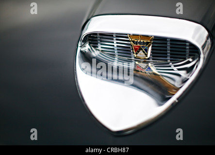 Ford Fairlane 500 Cabrio 1958, Motorhaube mit Lufteinlass, Oldtimer, USA Stockfoto