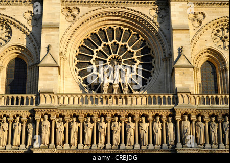 Gotische ornamentalen Figuren über dem Hauptportal, Rosette, Westfassade, Kathedrale von Notre-Dame de Paris, Ile De La Cité Stockfoto