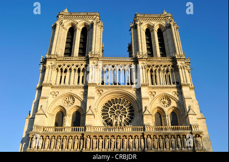 Westfassade, gotische ornamentalen Figuren über dem Hauptportal rose Fenster, Kathedrale von Notre-Dame de Paris, Ile De La Cité Stockfoto