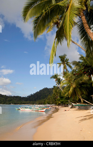 Typischen Auslegerboote auf dem sandigen Strand Port Barton, Palawan Island, Philippinen, Asien Stockfoto