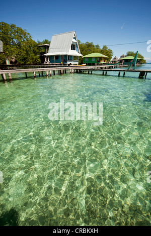 Steg in das klare Wasser und ein typisches Holzhaus auf der kleinen karibischen Insel Coral Key, Bocas del Toro, Panama Stockfoto