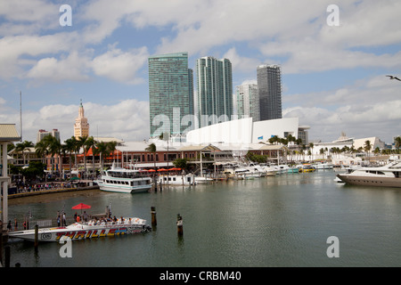 Marina am Bayside Marketplace, Downtown Miami, Florida, USA Stockfoto